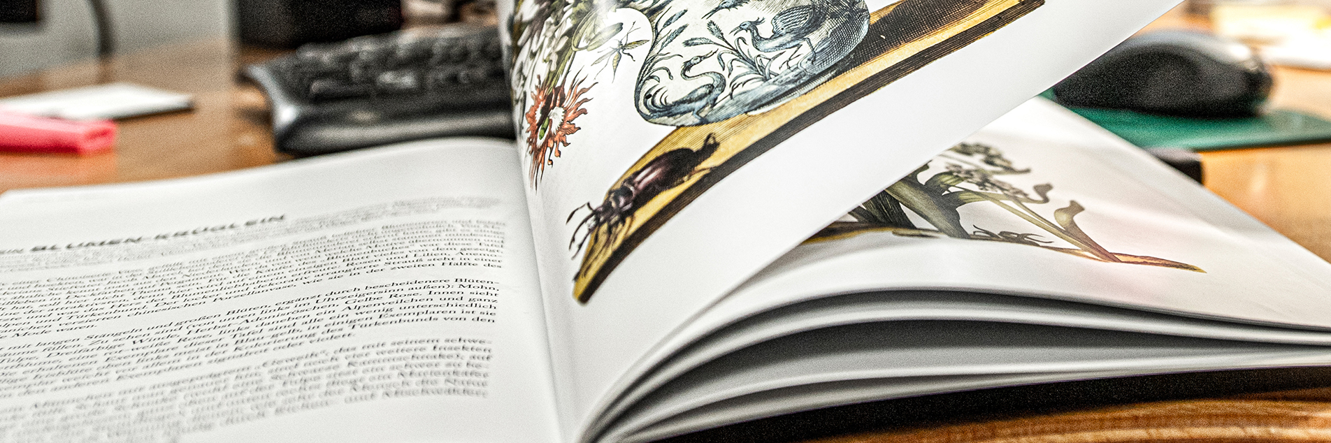 Layout und Gestaltung