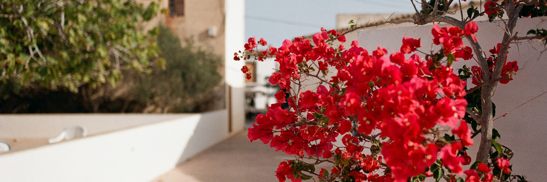 Eine Straßenszene auf Formentera